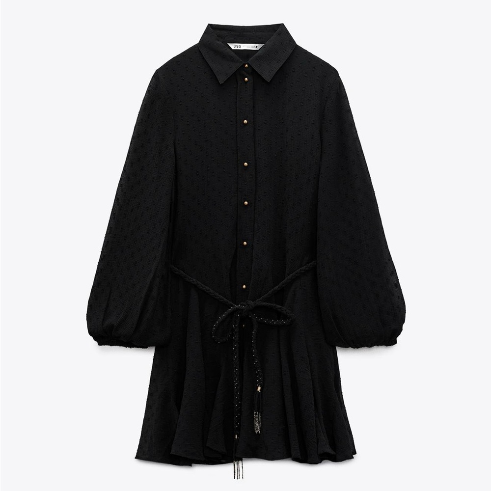 Zara Swiss Dot Short Dress